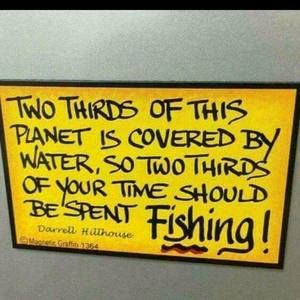 Meet your Posher, Wesley